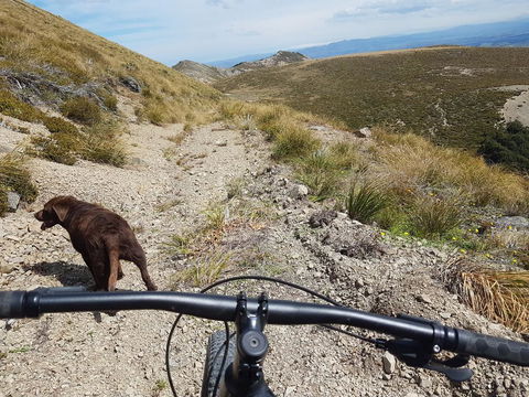 Lake Stella Mountain Huts - Accommodation New Zealand 3