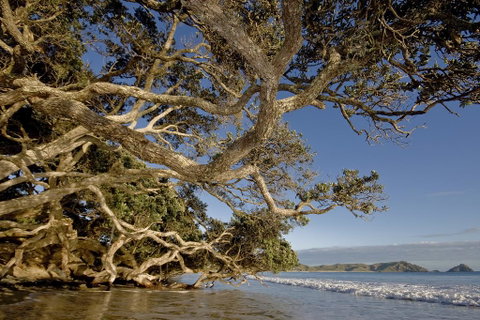 Leighton Lodge - Accommodation New Zealand 1