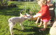 Little Paradise & Petting Farm - thumb 0