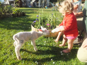 Little Paradise  Petting Farm