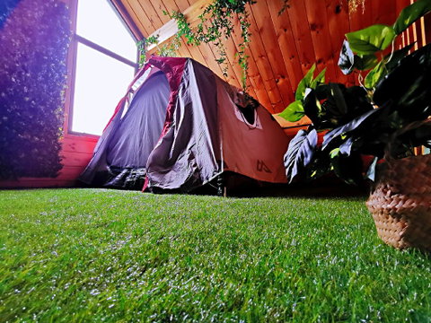 Lock Wood House - Accommodation New Zealand 1