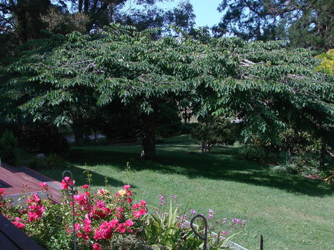 Mahana Magic - Accommodation New Zealand 1