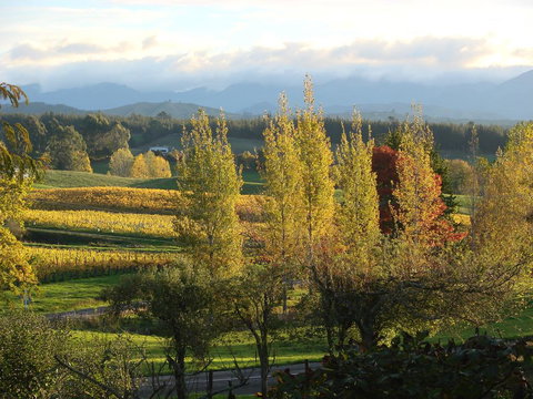 Mahana Magic - Accommodation New Zealand 3