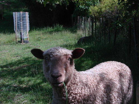 Mahana Magic - Accommodation New Zealand 2