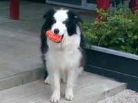 Mahinapua Retreat BB