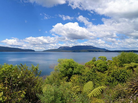 Mana Sarovar - Designer Lake Tarawera Holiday Home - Accommodation New Zealand 2