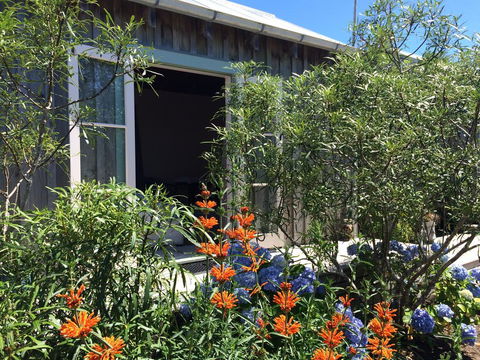 Mangawhai Chalets - Accommodation New Zealand 3