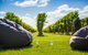 Marama Vineyard - thumb 0