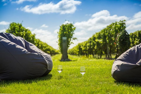 Marama Vineyard - Accommodation New Zealand 0