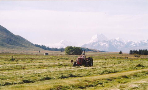Marytrickle - Accommodation New Zealand 1