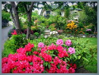 McAuley Glen Boutique BB