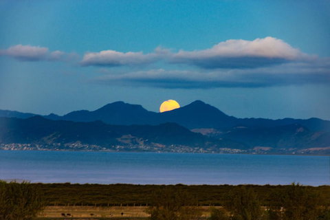 Miranda Sea View Apartment - Accommodation New Zealand 0