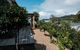 Moa 30 Runga - Waiheke Island - thumb 3