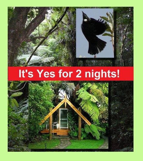 Mount Tutu Eco-Sanctuary - Accommodation New Zealand 3