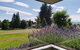 Mountain Majesty - Wanaka Holiday Home - thumb 2