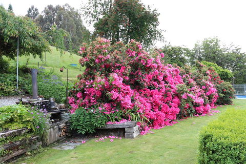 Mountain View Lodge - Accommodation New Zealand 3