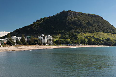 Mt Maunganui Oceanside Apt - Accommodation New Zealand 1