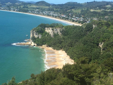 Mussel Bed - Accommodation New Zealand 2