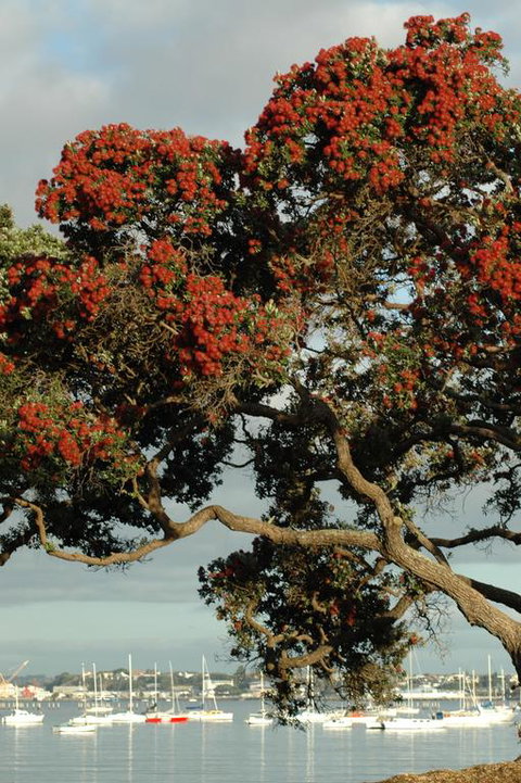 Nautical Nook Bed And Breakfast - Accommodation New Zealand 3