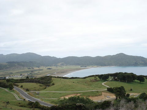 Nga Puriri Bed And Breakfast - Accommodation New Zealand 3