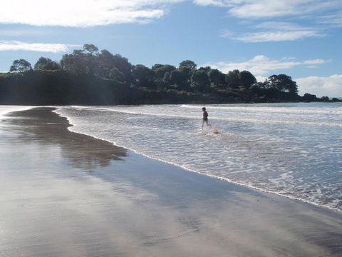 Nga Puriri Bed And Breakfast - Accommodation New Zealand 1
