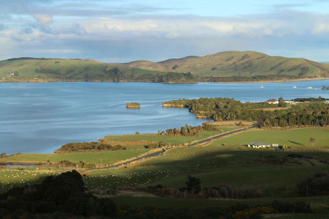 Niagara Ridge Retreat Catlins - Accommodation New Zealand 0