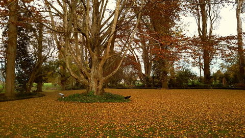 Oak Lane Lodge - Accommodation New Zealand 2