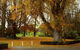 Oak Lane Lodge - thumb 1