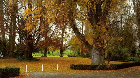 Oak Lane Lodge - Accommodation New Zealand 1