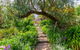 Olde Mill House B&B & Bike2Wine Cycle Hire - thumb 3