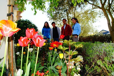 Olive House Bed And Breakfast