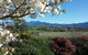 Omaka Heights Countrystay - thumb 0