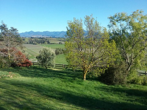 Omaka Heights Countrystay - Accommodation New Zealand 1