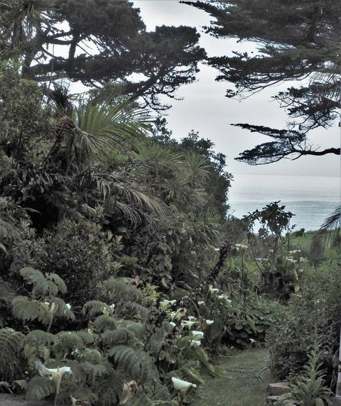 Omau Retreat - Accommodation New Zealand 3