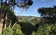 Oneroa Architecturally Designed Home With Seaview Plus Car - thumb 2