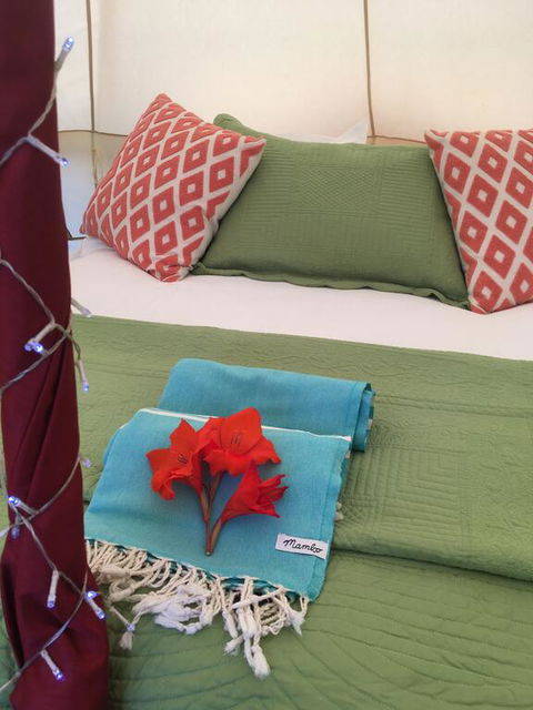 Orchard View Glamping Retreat - Accommodation New Zealand 3