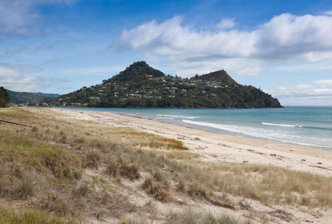 Pauanui Pines Motor Lodge - Accommodation New Zealand 2
