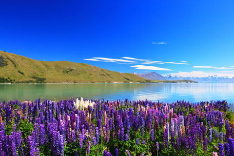 Peppers Bluewater Resort - Accommodation New Zealand 2