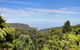 Piha - City Escape, Piha Holiday Home - thumb 3