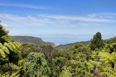 Piha - City Escape, Piha Holiday Home - Accommodation New Zealand 3