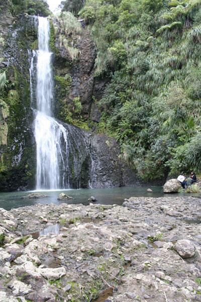 Piha Beachstay Accommodation - Accommodation New Zealand 3