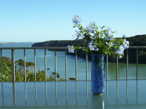 Pipiroa Bay Homestay - Accommodation New Zealand 0