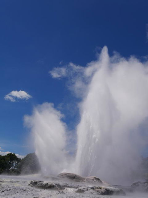 Pohutu Vista B&B - Accommodation New Zealand 0