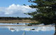Pohutukawa Bach - thumb 1