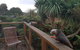 Ponga B&B - thumb 0