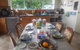 Ponga B&B - thumb 3