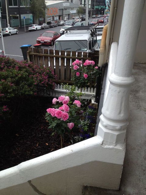 Ponsonby Boutique Villa With Private Gym - Accommodation New Zealand 3