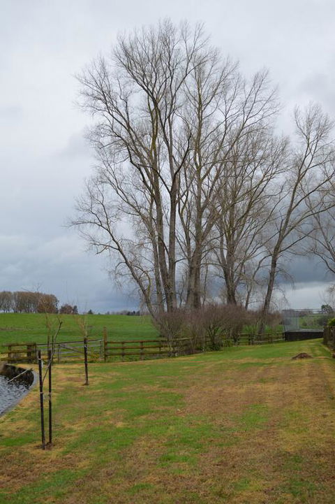 Poplar Creek B&B - Accommodation New Zealand 3
