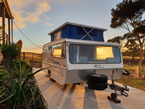 Poppy At The Puta - Accommodation New Zealand 0