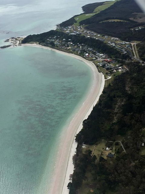 Poppy At The Puta - Accommodation New Zealand 3